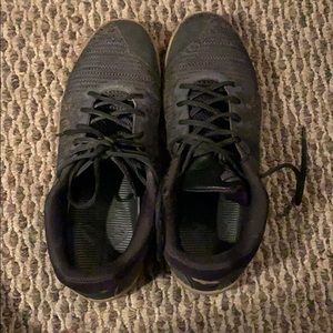 Kobe mamba rage Komodo dragon